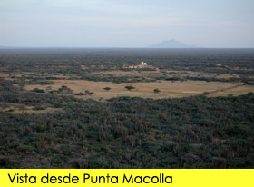 Punta Macolla