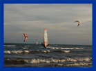 wind surf e kite in adicora